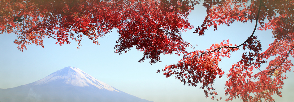 Fuji 1