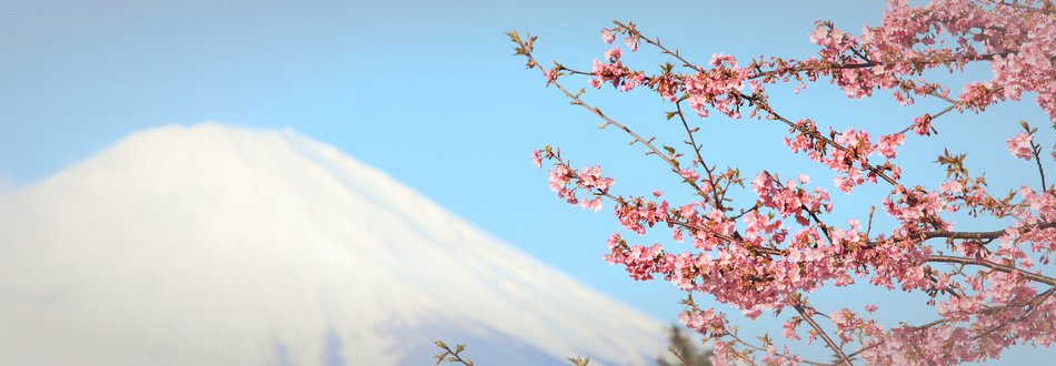 Fuji 2