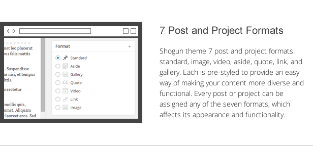 shogun features - post and project formats