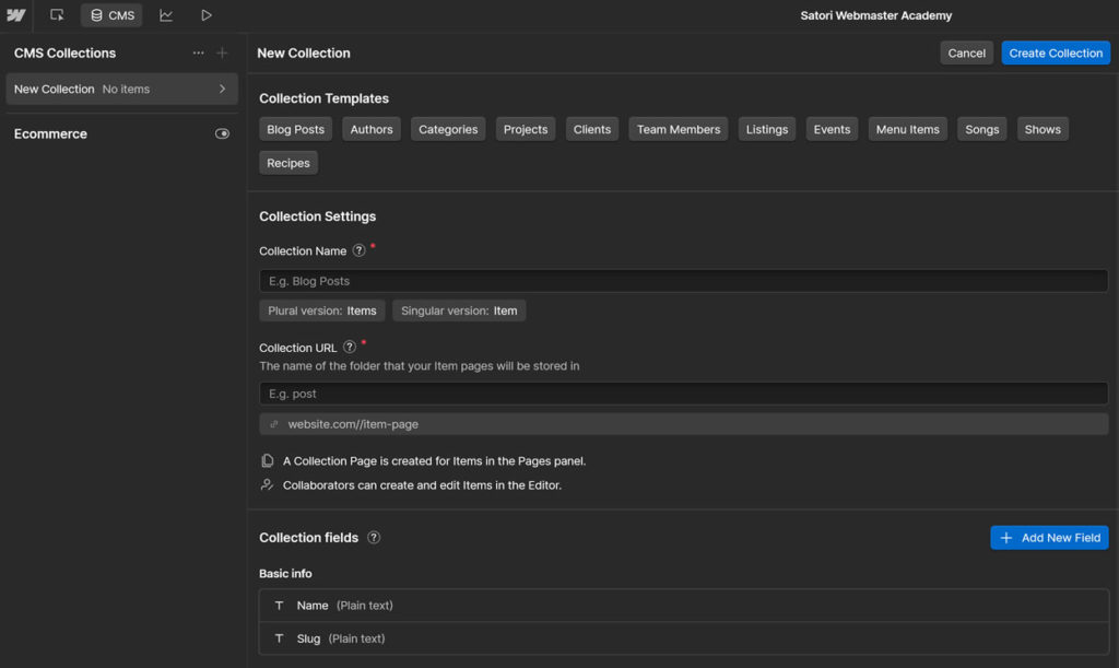Webflow CMS
