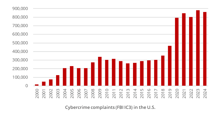 Cybercrime (United States)