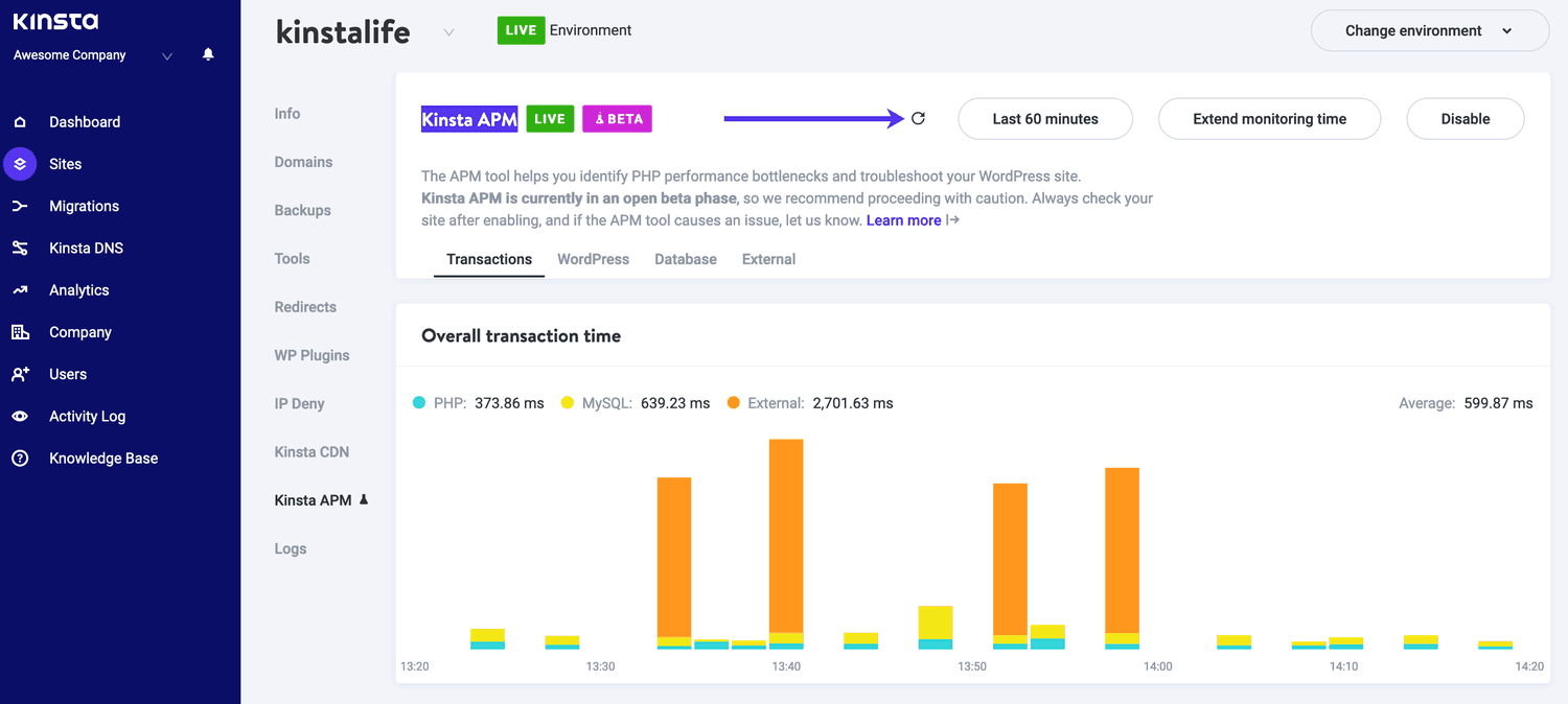 Kinsta's apm